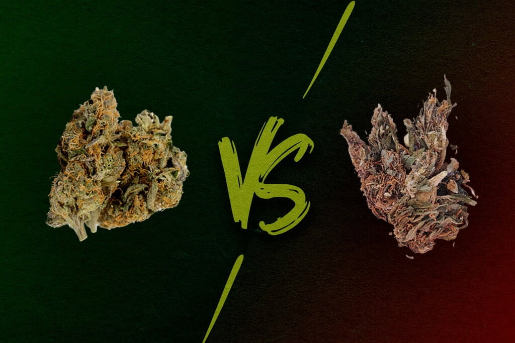 Bonne herbe vs mauvaise herbe : à quoi ressemblent les herbes mauvaises, moyennes et supérieures ?