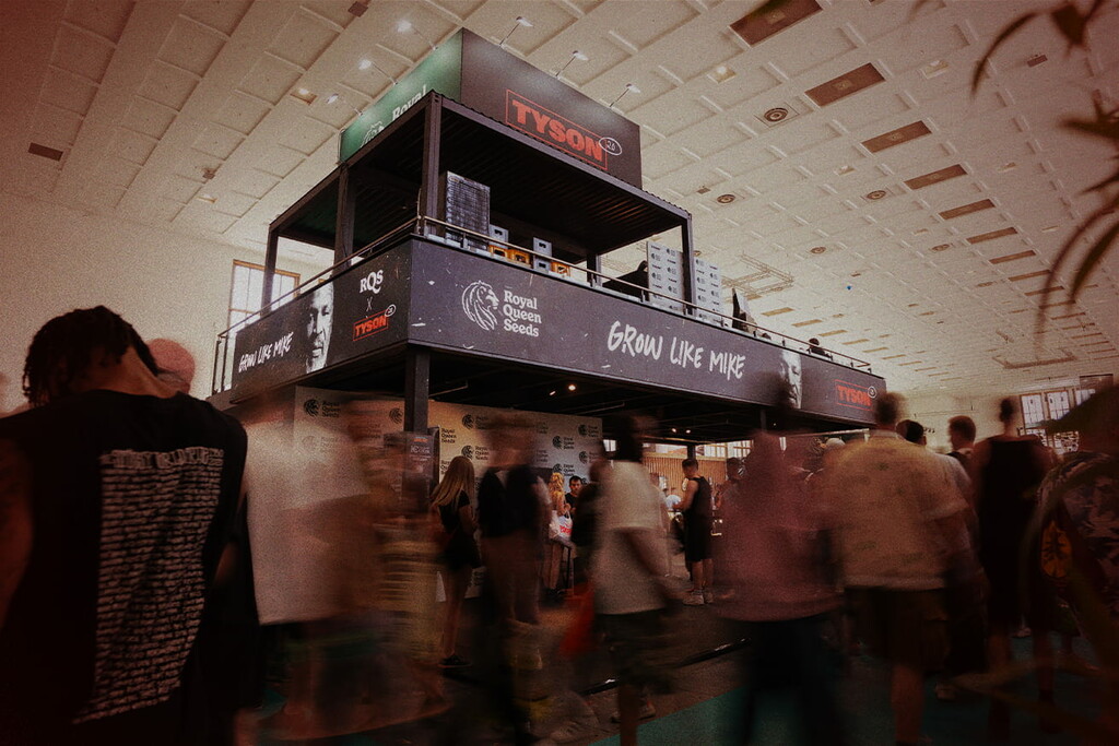 Mike Tyson x RQS au Mary Jane 2025 - Session fumette légendaire