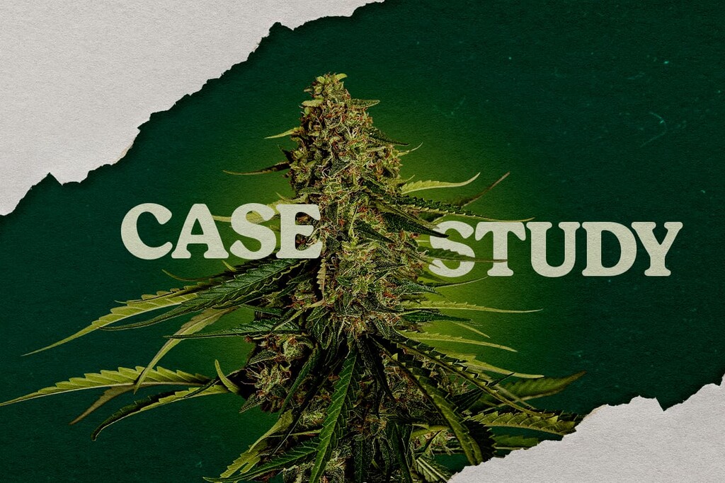 Étude de cas Gaia F1 : essai de culture en rockwool vs coco