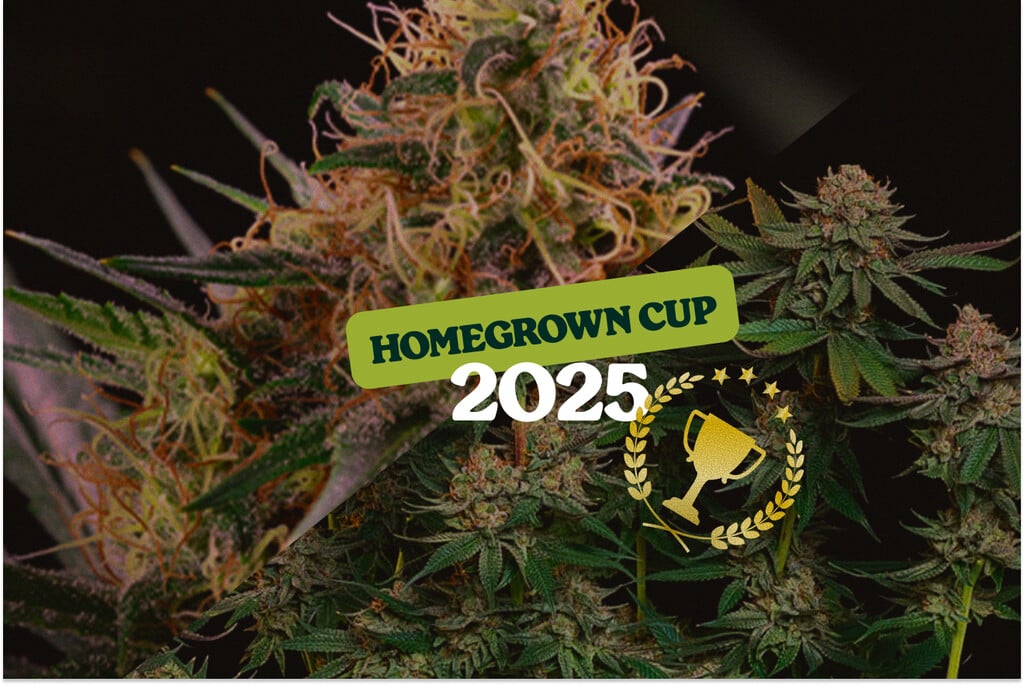 Deux podiums pour Royal Queen Seeds à la HomeGrown Cup 2025
