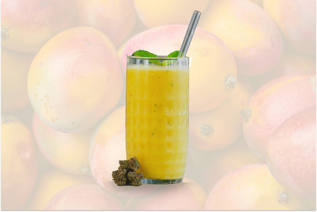 Smoothie à la mangue au cannabis