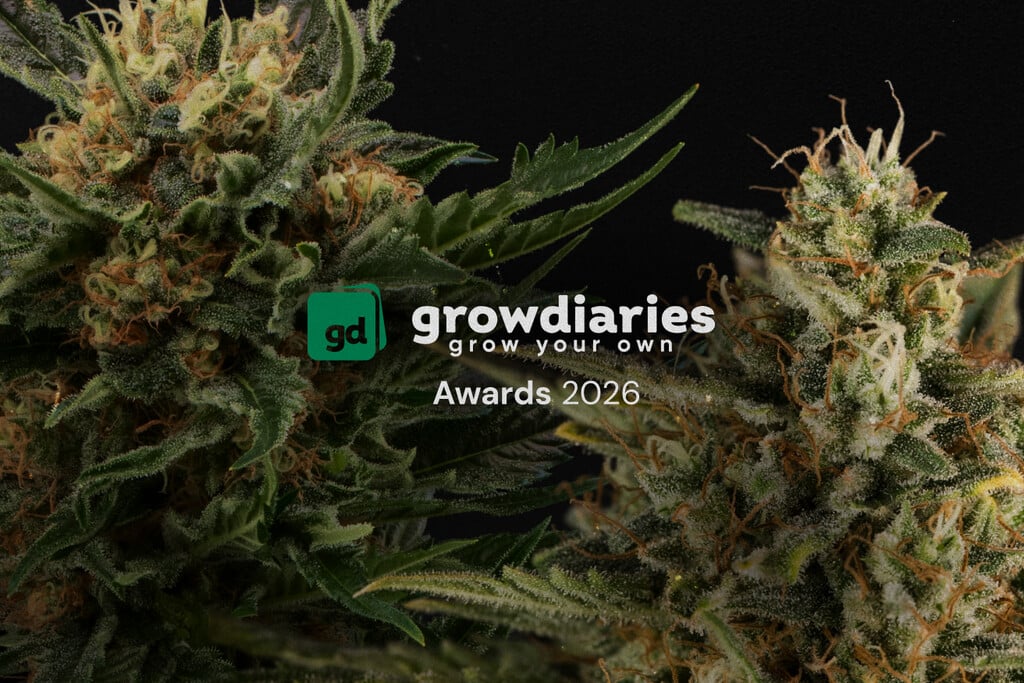 Royal Queen Seeds remporte 4 titres majeurs aux GrowDiaries Awards 2026