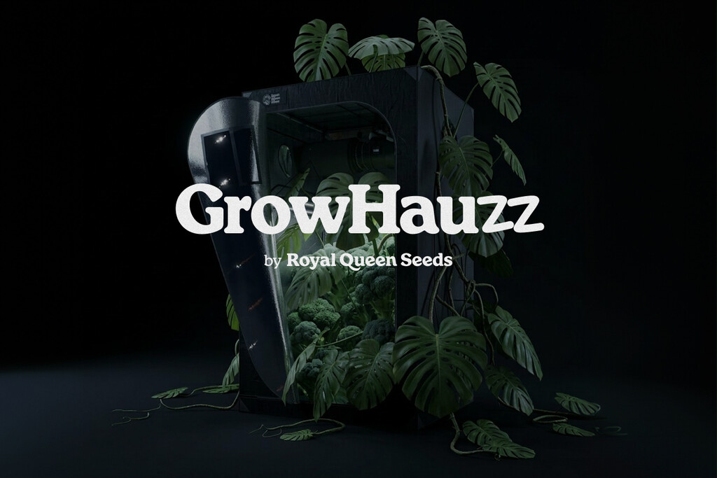 RQS grandit : Découvrez GrowHauzz
