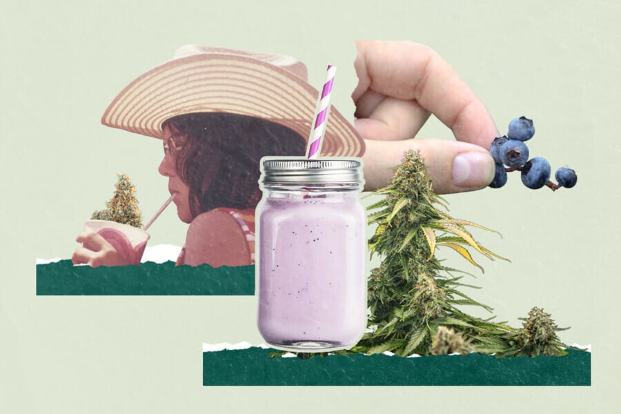 Smoothies aux myrtilles et cannabis : 3 recettes uniques