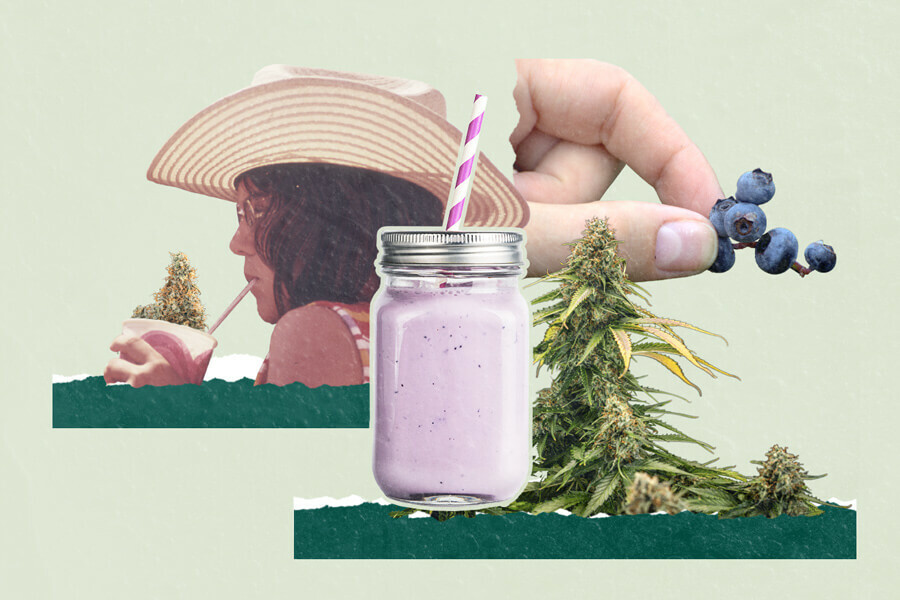 Smoothies aux myrtilles et cannabis : 3 recettes uniques