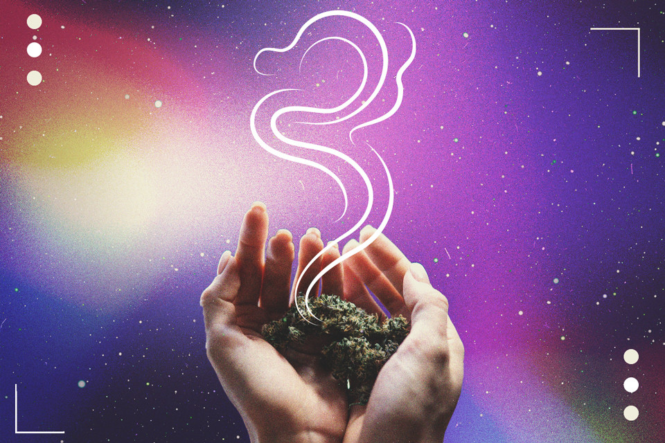 Quel est le goût du cannabis ? Un guide