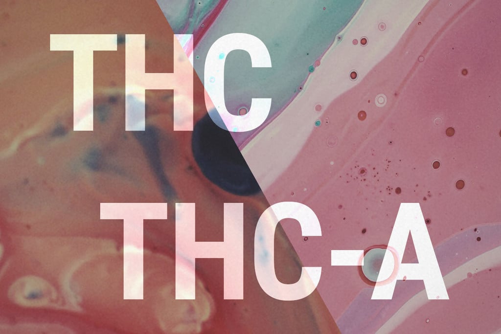 THCA et THC : Quelle Est La Différence ?