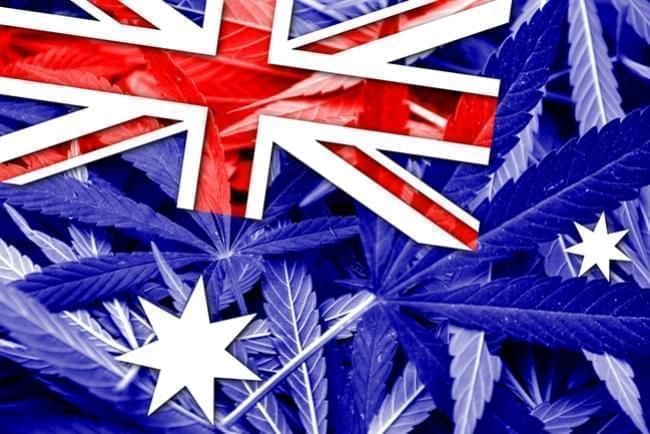L’Australie Légalise la Culture du Cannabis Médical