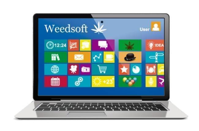 Microsoft Fait Un Premier Pas Dans L’Industrie Du Cannabis.