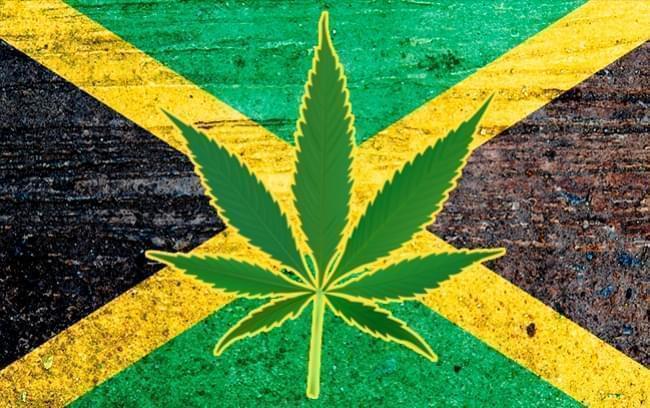 La Décriminalisation Du Cannabis En Jamaïque Ouvre La Voie À Un Tourisme Du Cannabis Florissant