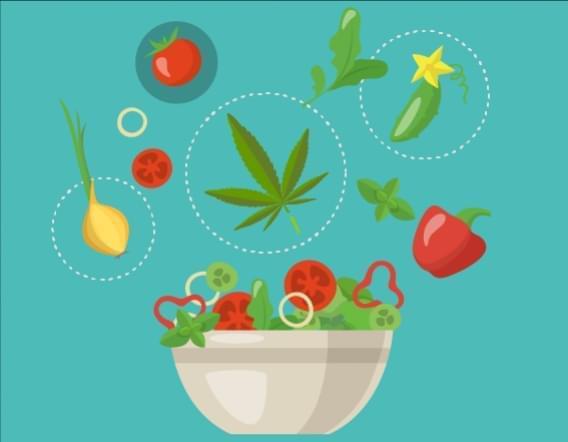 Aliments au Cannabis Sains – Guacamole au Cannabis