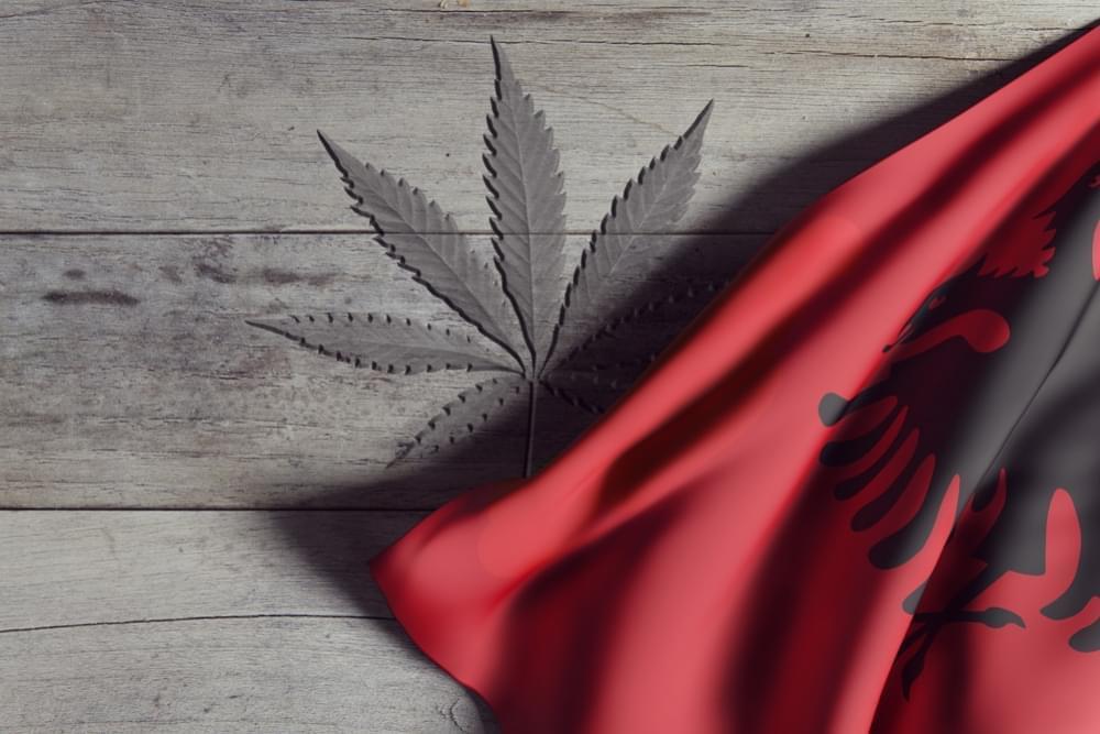 Feu Dans Les Montagnes : Guerre en Albanie contre le Cannabis