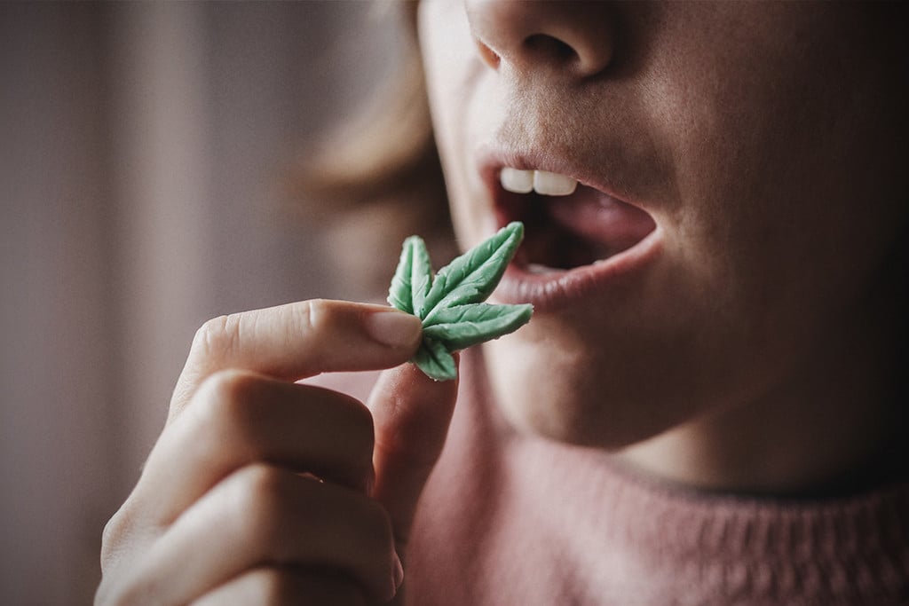 Cannabis et anorexie : ce qu’on sait à ce jour