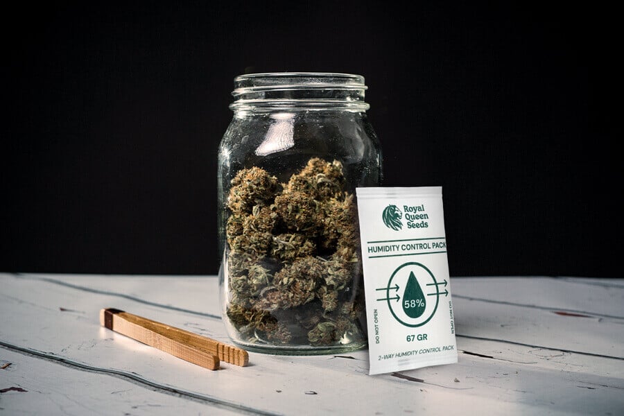 Comment éviter la moisissure des têtes lors du séchage et du curing du cannabis