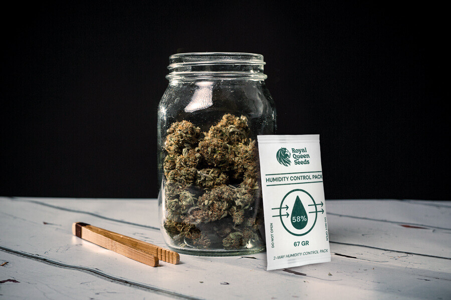 Comment éviter la moisissure des têtes lors du séchage et du curing du cannabis