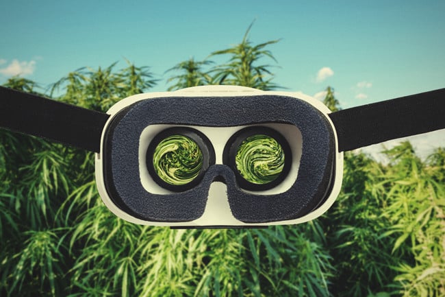 Des Gadgets Utiles Pour Cultiver Du Cannabis