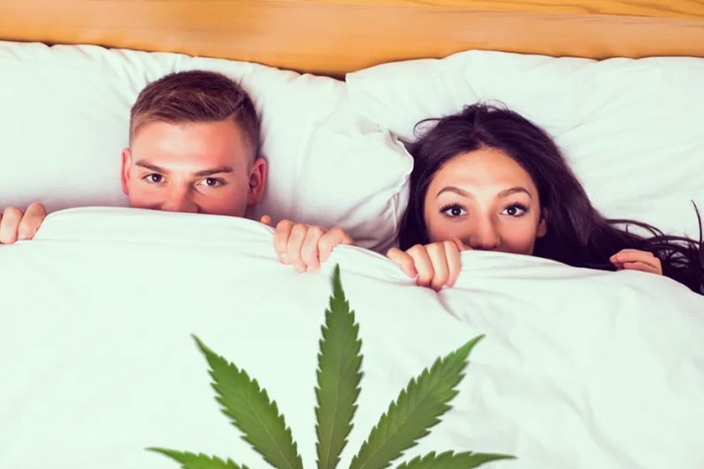 Nouvelle Étude : Fonctions Sexuelles Et Cannabis