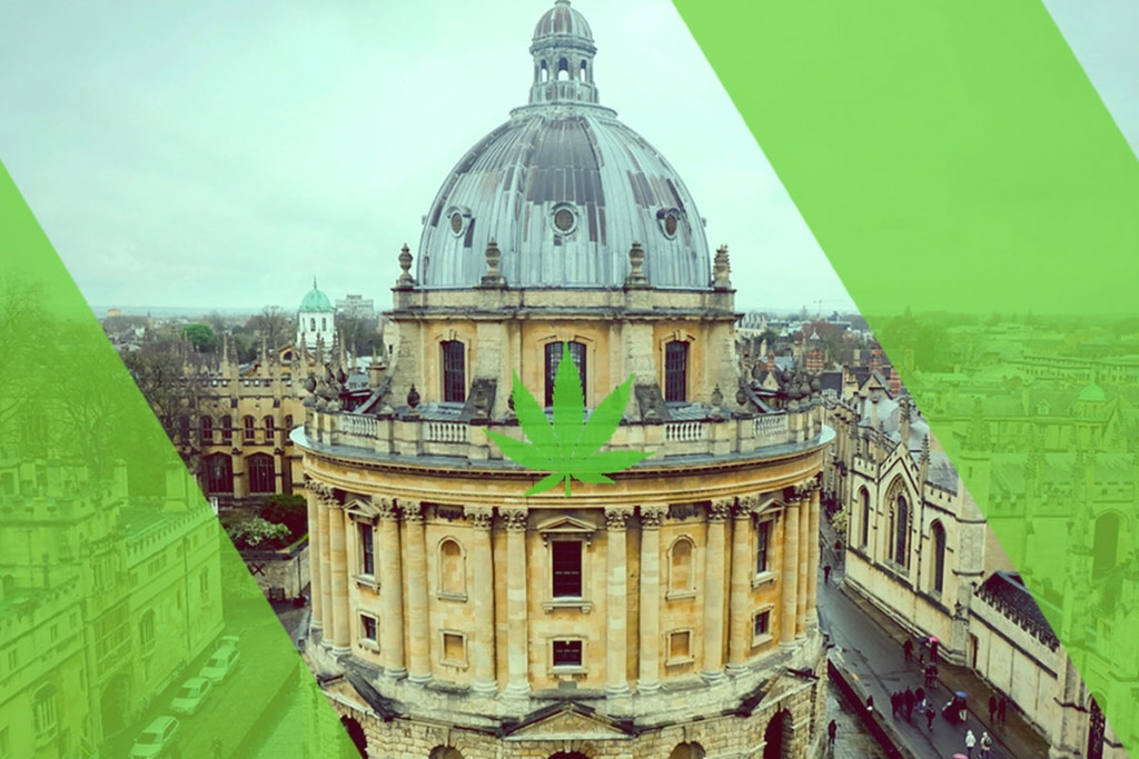 L’Université Oxford Lance un Projet d’Étude Cannabis à 10 millions £