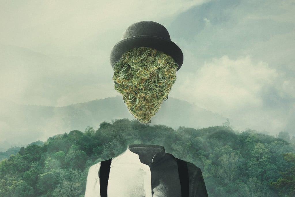 Effets du Cannabis : Pourquoi la Weed Vous Fait Planer