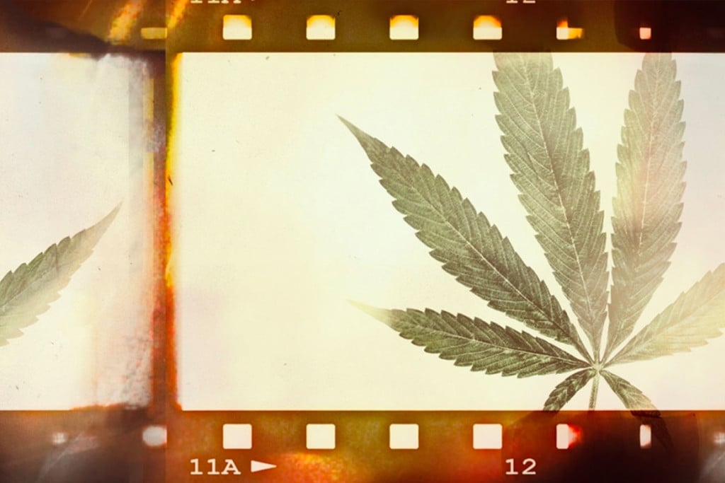 Documentaires Cannabis À Voir Pour S’éduquer Et Se Divertir