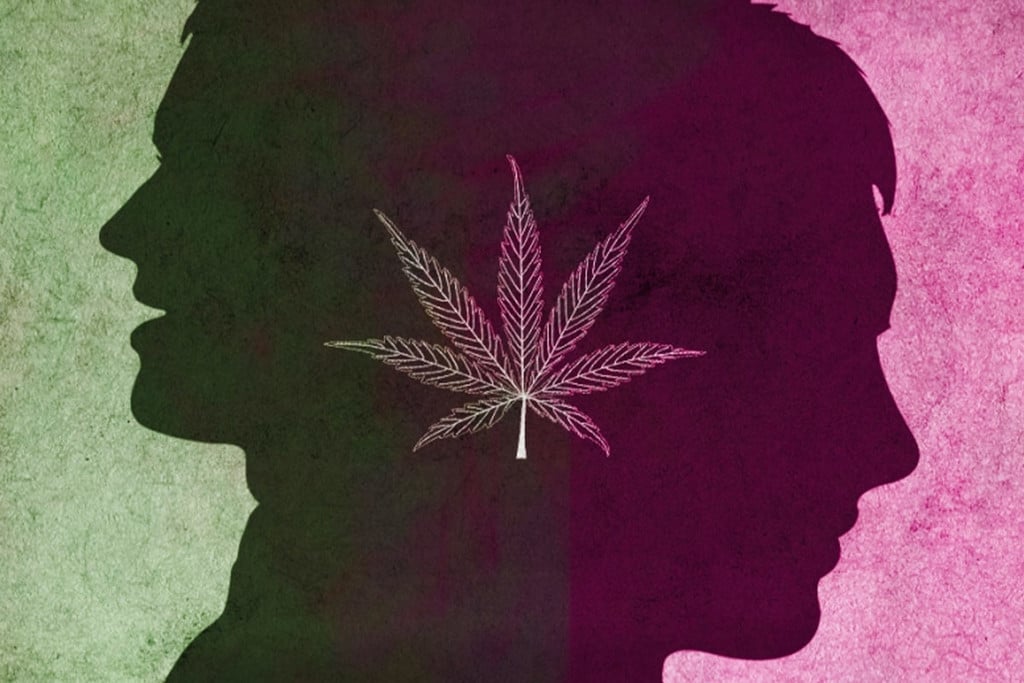 Comment Le Cannabis Affecte Le Trouble Bipolaire ?