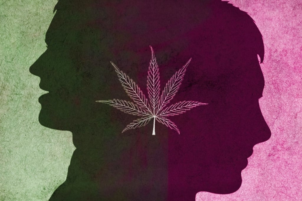 Comment Le Cannabis Affecte Le Trouble Bipolaire ?