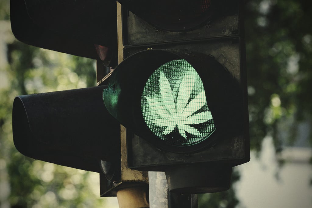 10 Raisons Pour Lesquelles Le Cannabis Devrait Être Légal Dans Le Monde Entier