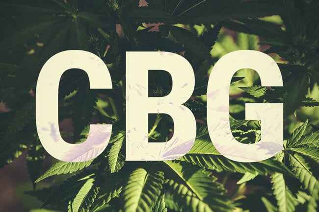 Qu'est-Ce Que Le Cannabigérol (CBG) ? 