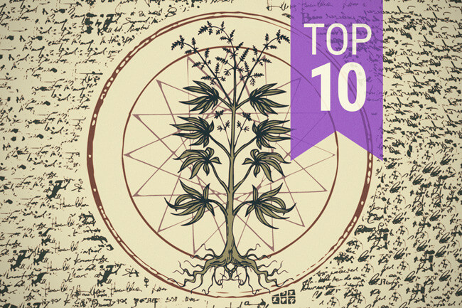 Top 10 Des Mythes Sur Le Cannabis