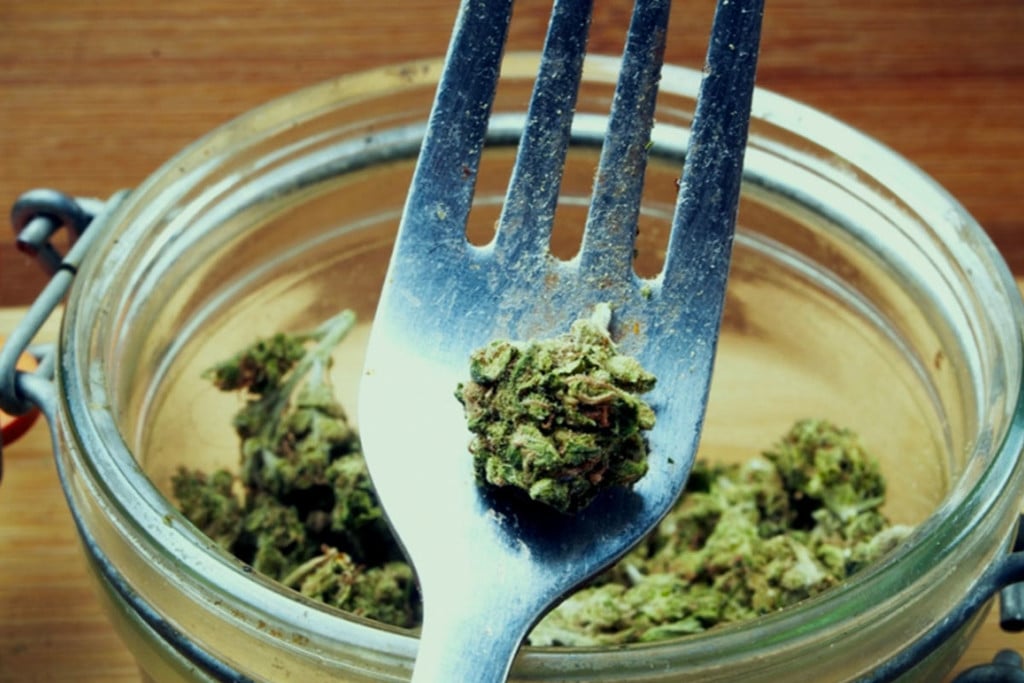 Les effets thérapeutiques et diététiques de manger du cannabis cru.