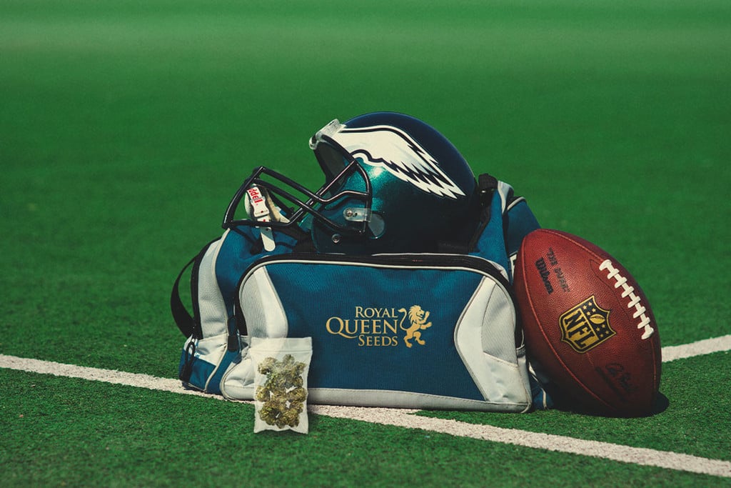 Cannabis médical et NFL : recherche et bienfaits pour les joueurs
