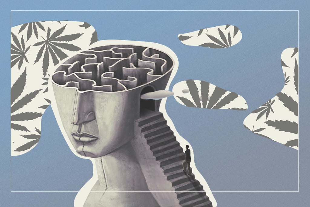 Comment le cannabis et le CBD impactent la mémoire ?