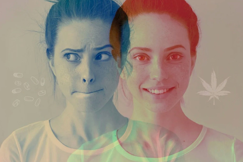 Le Cannabis Remplace Les Benzodiazépines Comme Médicament Anti-Anxiété ?