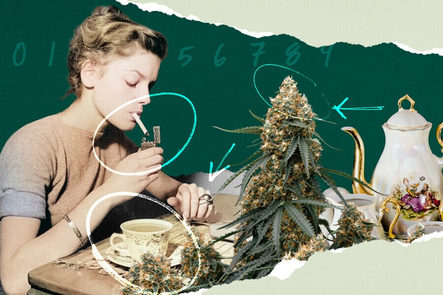 Comment préparer du thé au cannabis