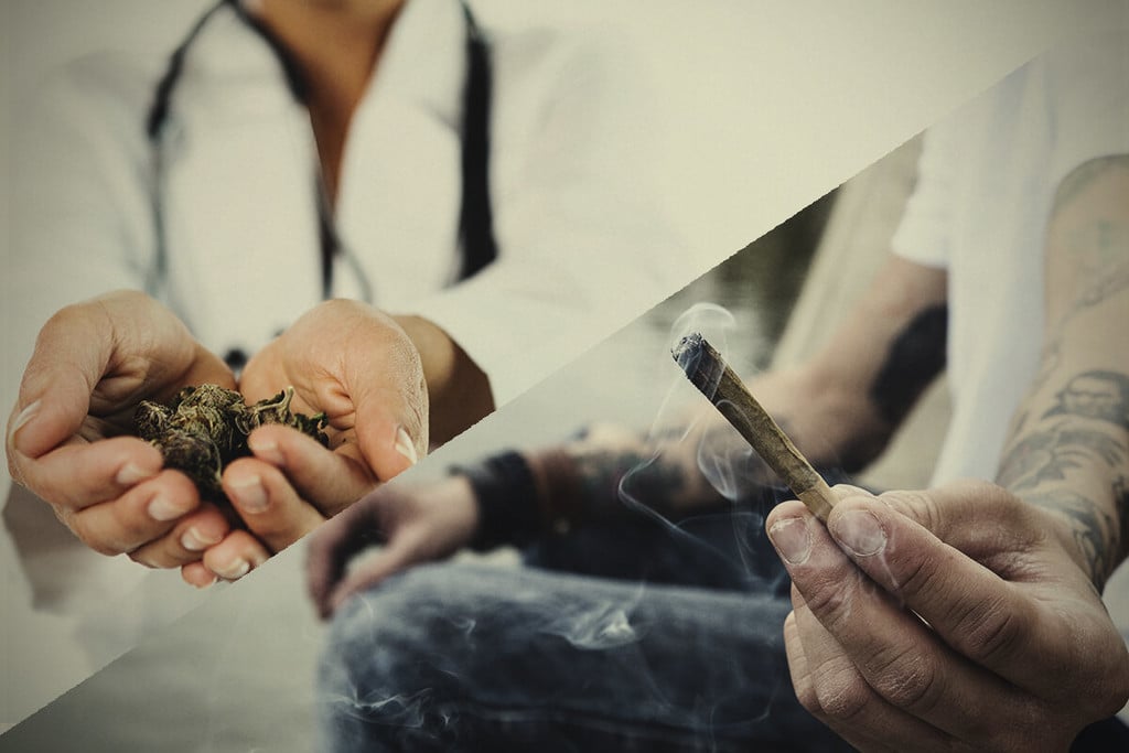 Marijuana récréative vs thérapeutique : quelle différence entre les deux ?