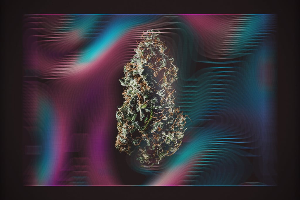 Le Cannabis Provoque-T-Il Des Hallucinations ?