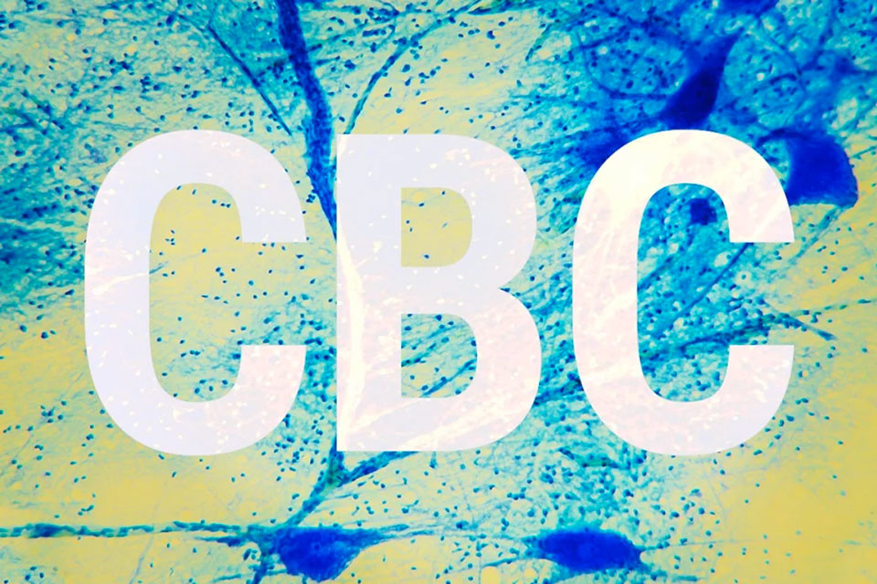 Cannabichromène (CBC) : Le Troisième Cannabinoïde Le Plus Courant