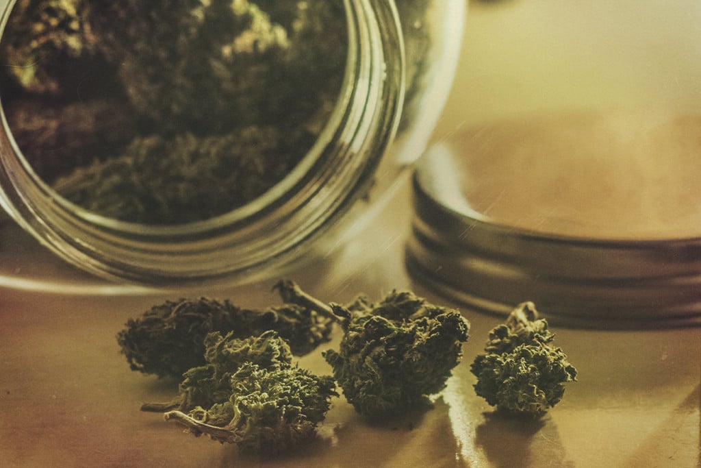 Comment Stocker le Cannabis à Long Terme Et Le Garder Frais