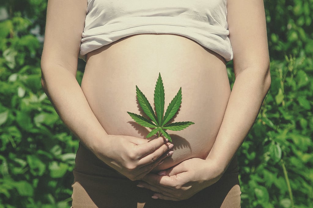 Fumer Du Cannabis Pendant La Grossesse Peut-Il Vous Mettre en Danger Vous Ou Votre Enfant ?