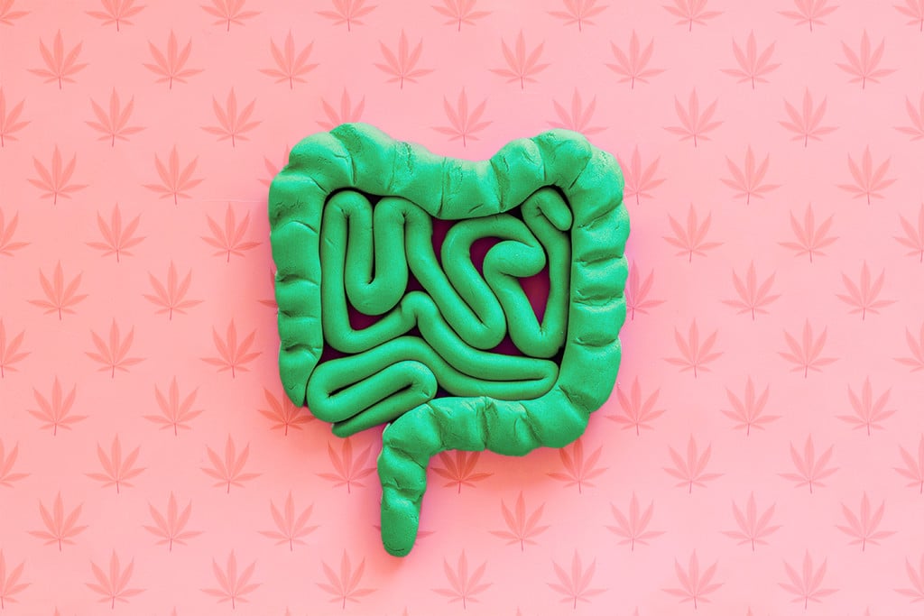 Existe-t-il un lien entre cannabis et constipation ?