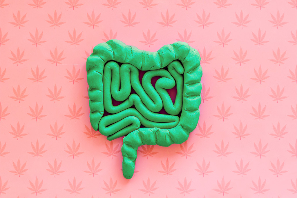Existe-t-il un lien entre cannabis et constipation ?