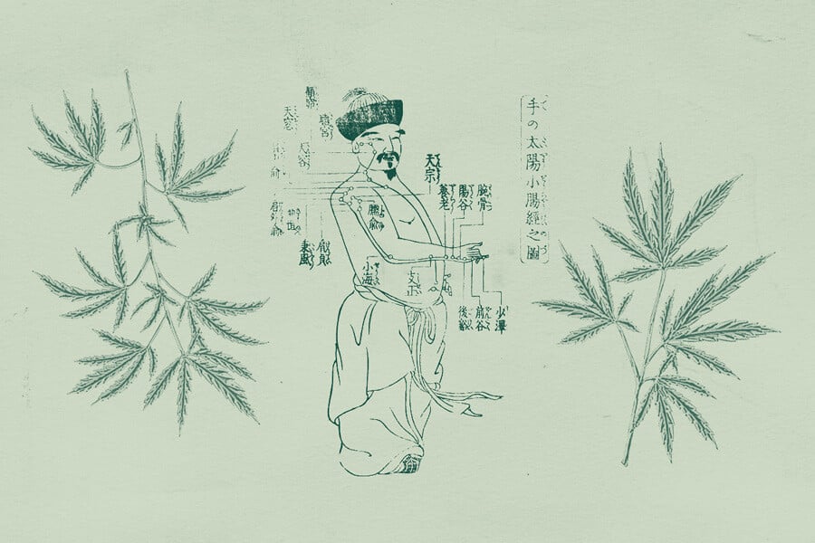 L’Utilisation Du Cannabis Dans La Médecine Chinoise