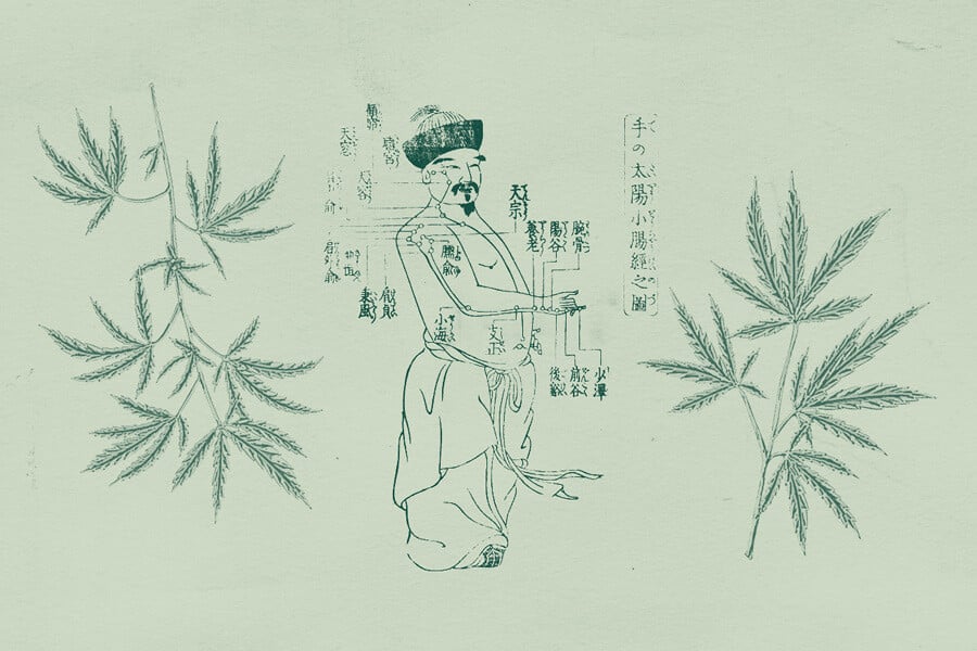 Utilisation du cannabis dans la médecine traditionnelle chinoise