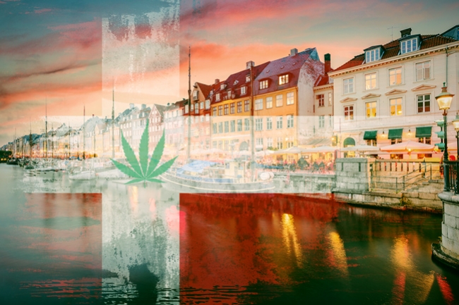Approbation Du Programme D’essais Du Cannabis Médical Au Danemark