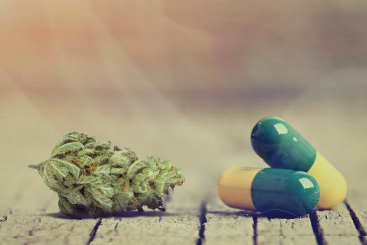 Comment Le Cannabis Interagit Avec Les Antidépresseurs