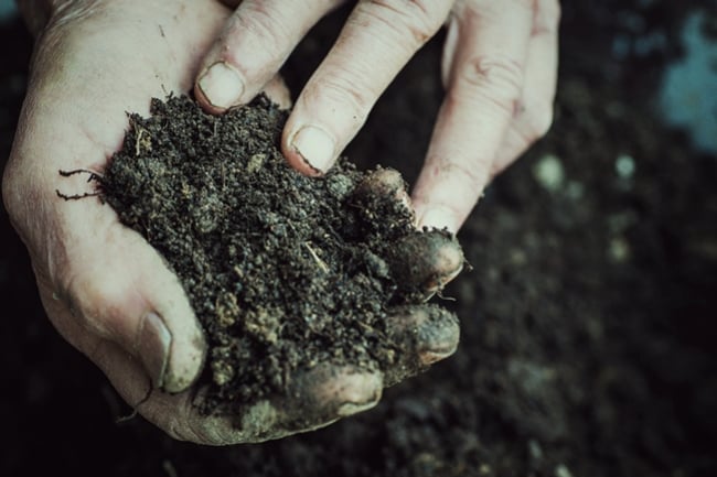 Comment Économiser De l'Argent En Réutilisant De La Terre Usagée