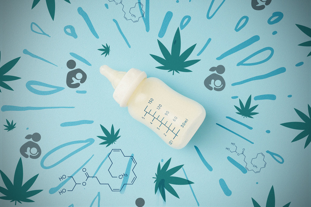 Cannabis et allaitement : ce qu’il faut savoir