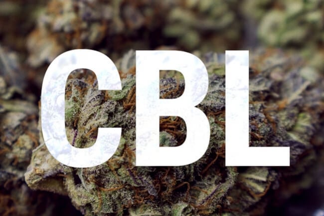 Cannabicyclol : Comprendre Les Bases Des Cannabinoïdes