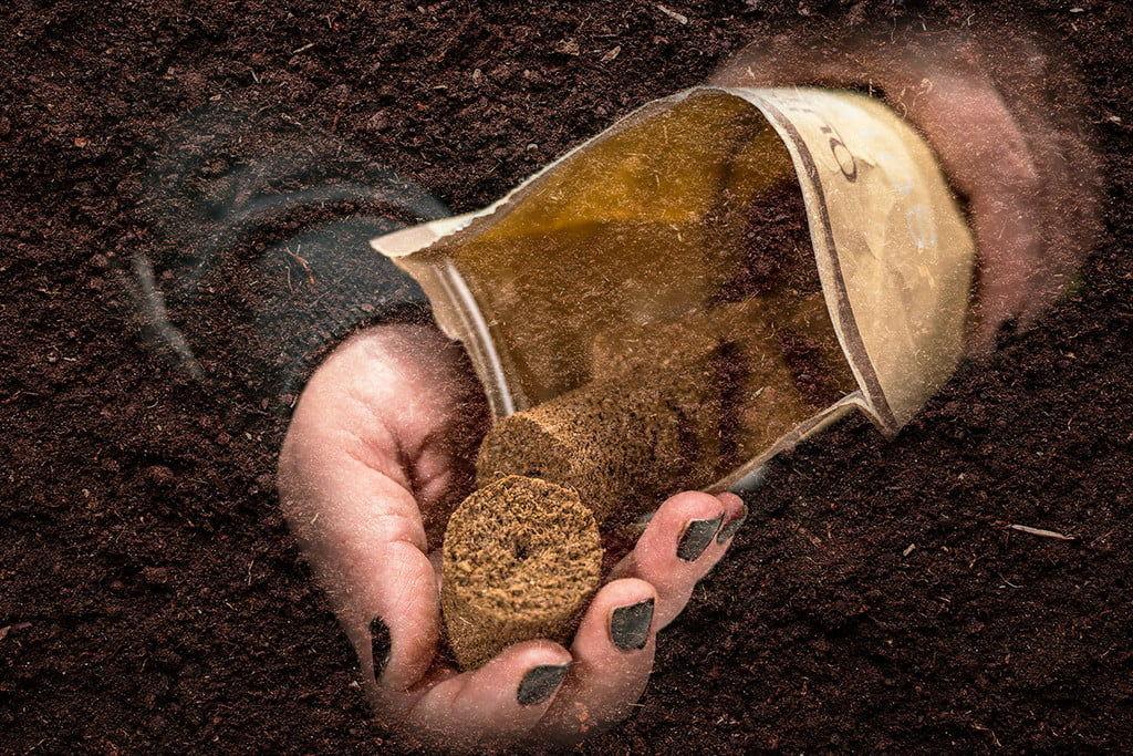 Ingrédients Pour Le Sol Des Plantes En Pot Maison Tourbe Terre Sable  Perlite Vermiculite Noix De Coco Un Mélange Pour Planter Des Plantes Dans  Un Pot