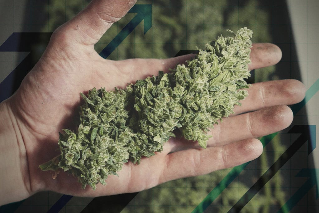 16 Façons D'Augmenter Vos Rendements De Cannabis - RQS Blog